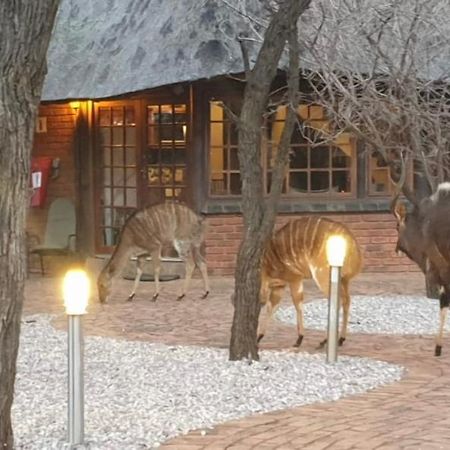 Makhato Bush Lodge 3 Bela-Bela Eksteriør billede