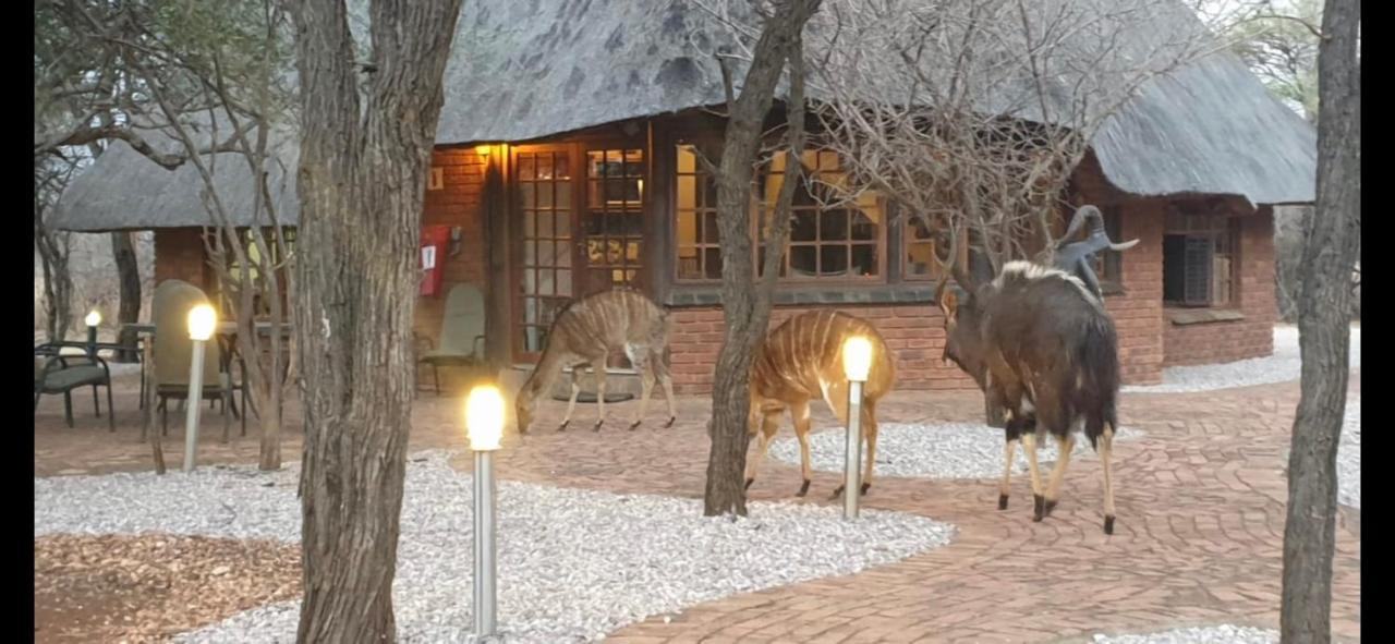 Makhato Bush Lodge 3 Bela-Bela Eksteriør billede