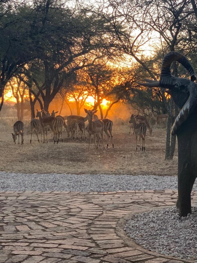 Makhato Bush Lodge 3 Bela-Bela Eksteriør billede