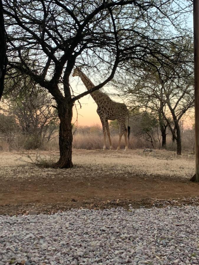 Makhato Bush Lodge 3 Bela-Bela Eksteriør billede